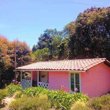 Hospedaje Santaelena -Chalets De Montana- Santa Elena  Bagian luar foto